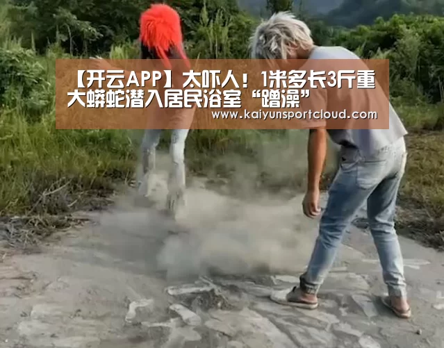 【开云APP】太吓人!1米多长3斤重大蟒蛇潜入居民浴室“蹭澡”(图1) 开云官网