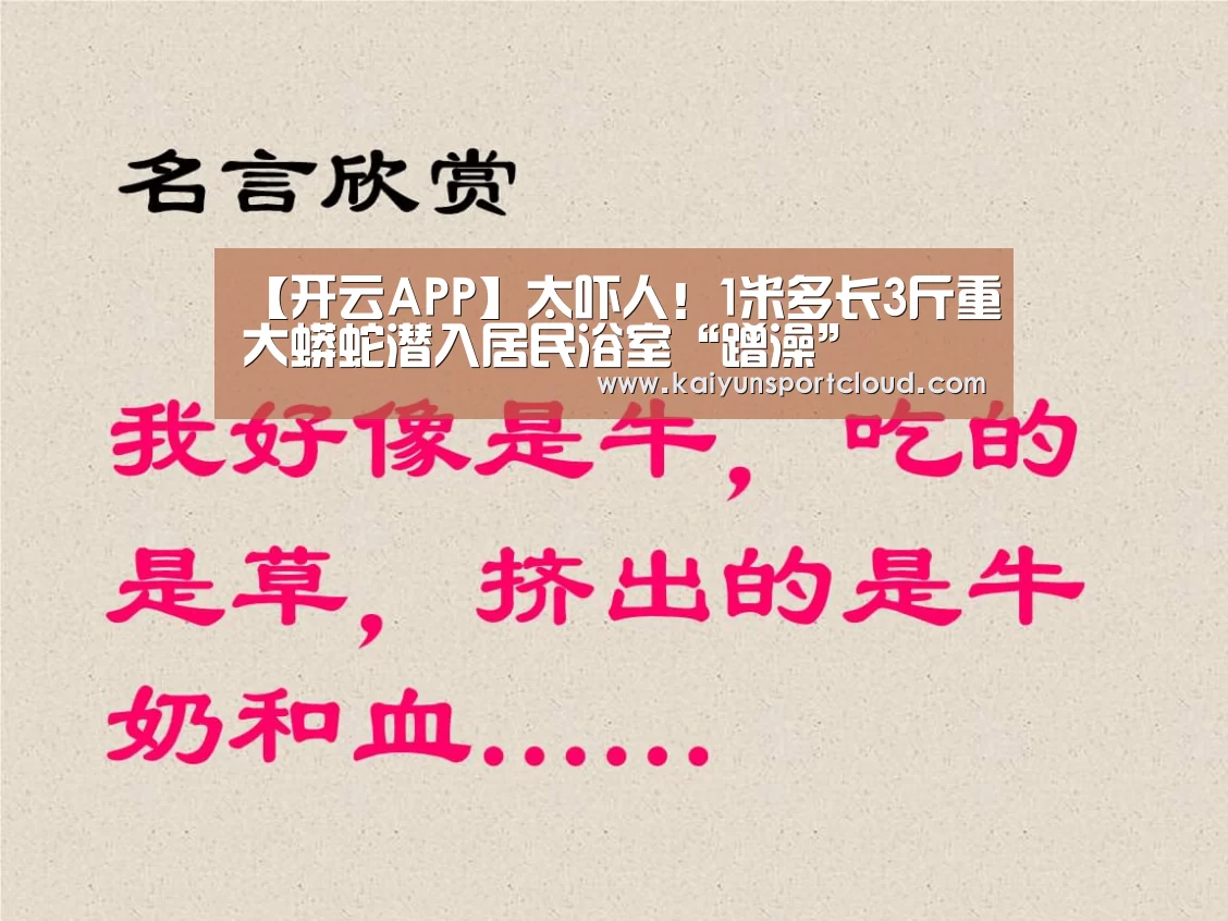 【开云APP】太吓人!1米多长3斤重大蟒蛇潜入居民浴室“蹭澡”(图2) 开云APP