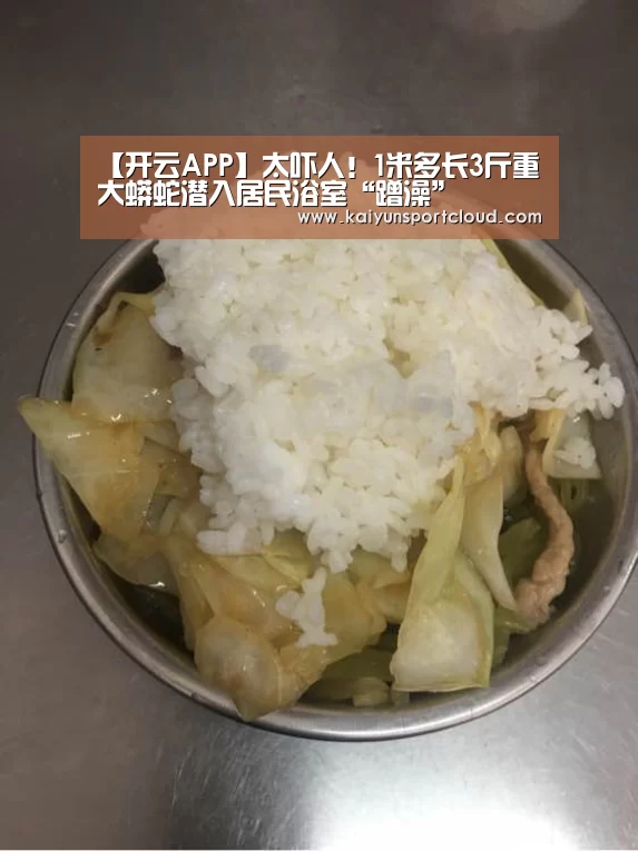 【开云APP】太吓人!1米多长3斤重大蟒蛇潜入居民浴室“蹭澡”(图3) 开云平台