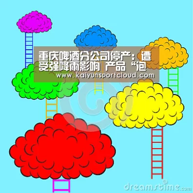 重庆啤酒分公司停产:遭受强降雨影响 产品“泡汤”了‘开云APP’(图3) 开云APP