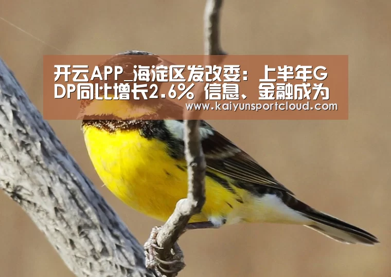 开云官网