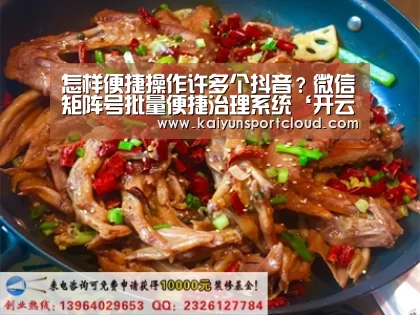 怎样便捷操作许多个抖音?微信矩阵号批量便捷治理系统‘开云APP’(图2) 开云赛事