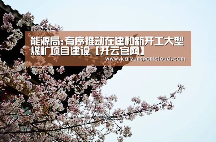 能源局:有序推动在建和新开工大型煤矿项目建设【开云官网】(图2) 开云APP