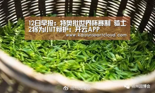 12日早报:特奥批世界杯赛制 骑士2将为小IT辩护:开云APP(图1) 开云APP